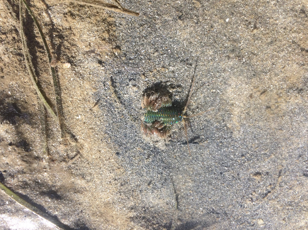 Eco Afrika Tours-Goukamma必去景点