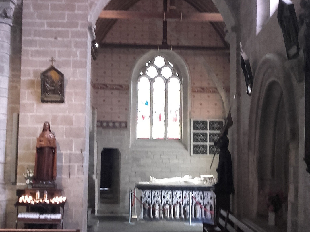 Basilique Notre Dame du Roncier景点图片
