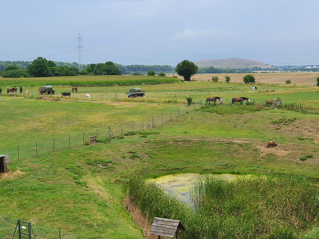 Algermissen旅游攻略图片