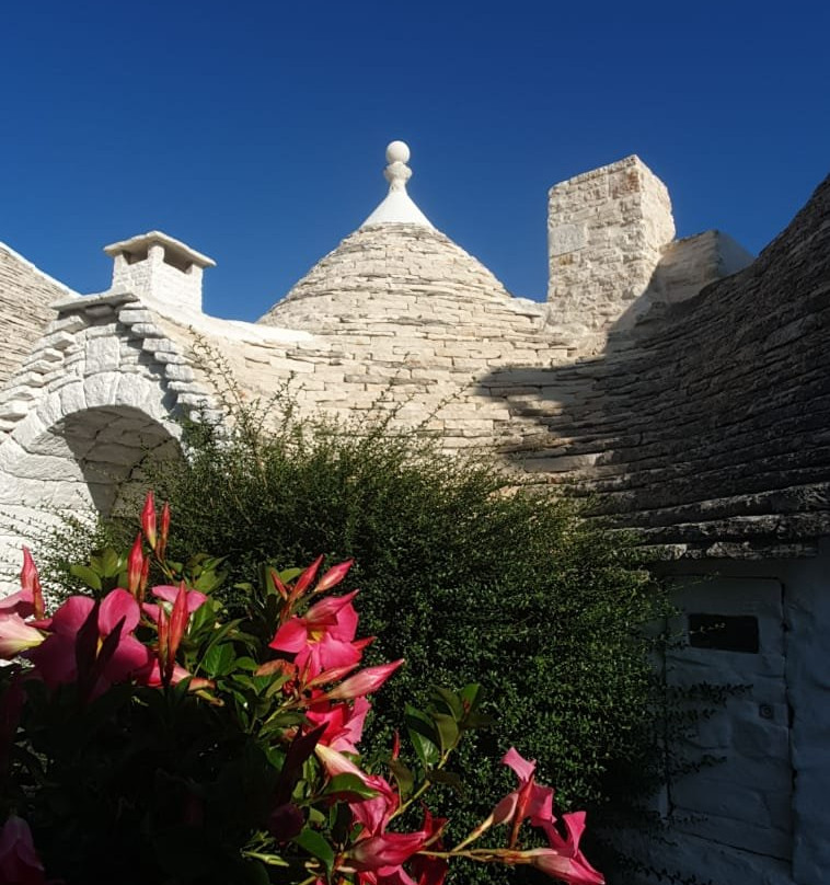 Trulli and Puglia Tours-阿尔贝罗贝洛必去景点
