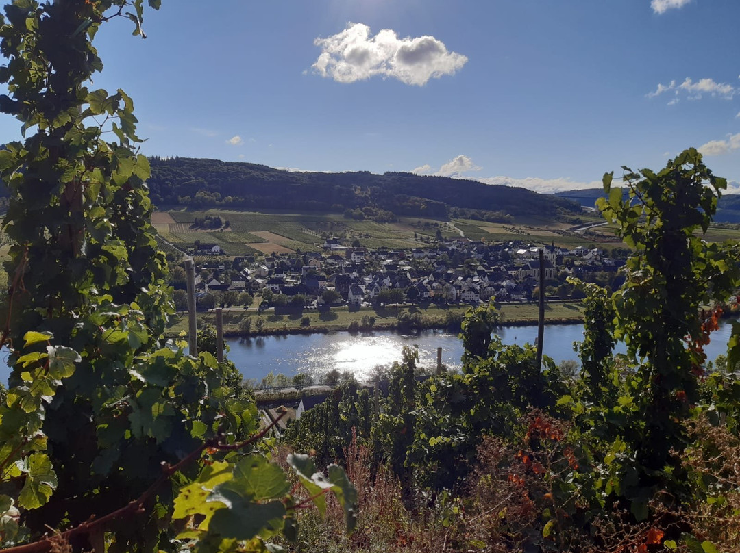 Mosel on Wheels景点图片