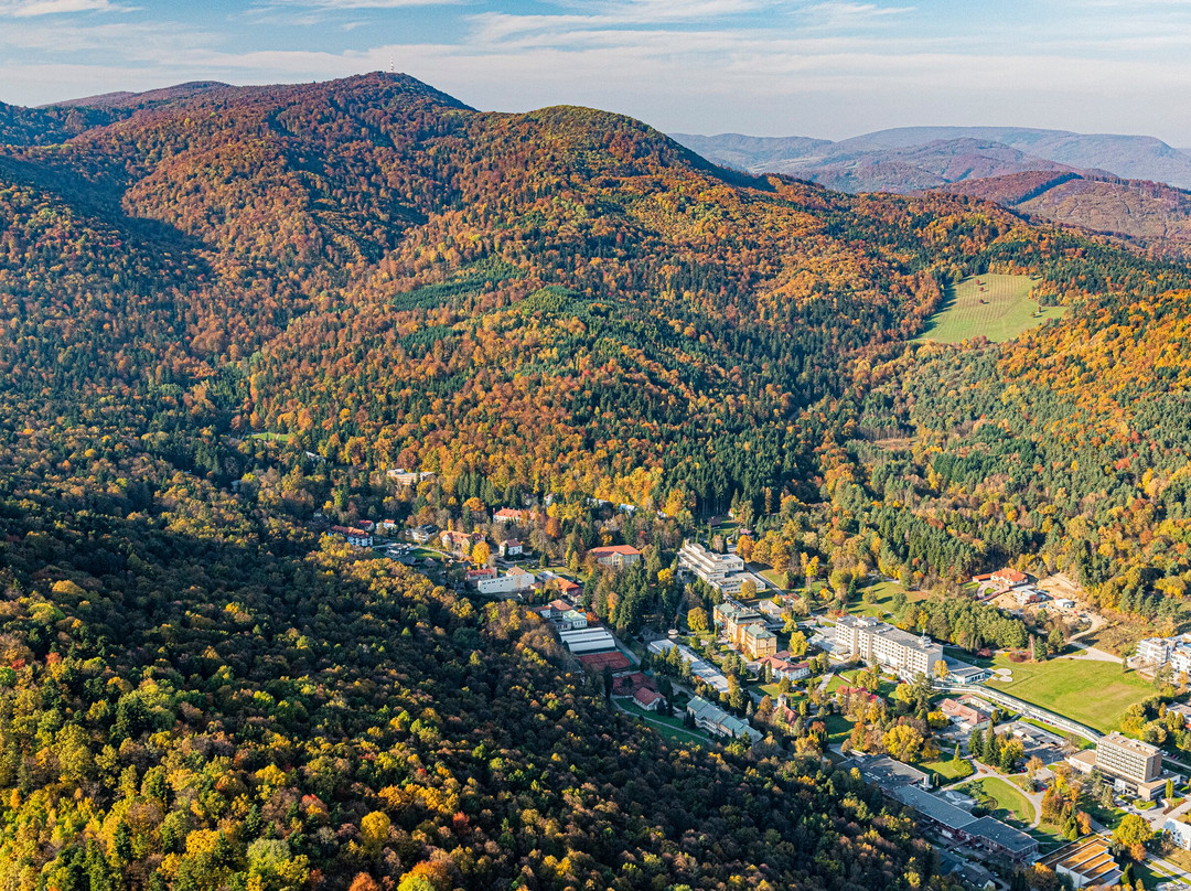 Apart-club Zora主图