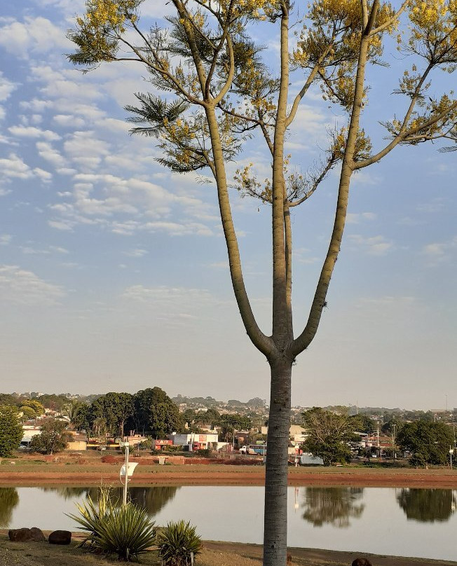 Lago Bom Sucesso-Jatai必去景点