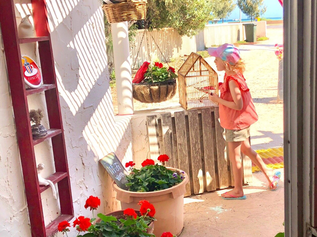 The little shop-德纳姆必去景点