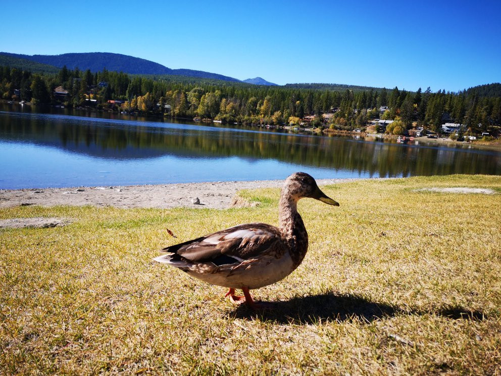 Jimsmith Lake Provincial Park景点图片