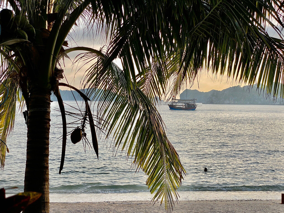 猴子岛度假村主图