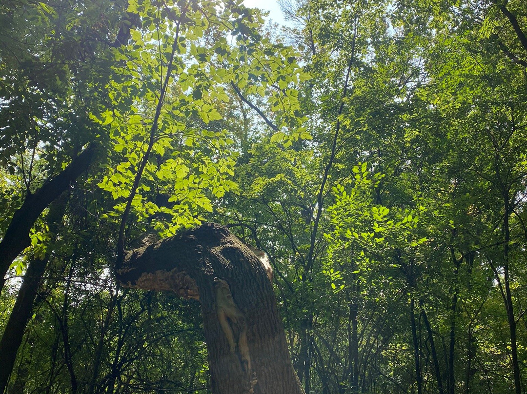 Minnesota Valley National Wildlife Refuge-布卢明顿必去景点