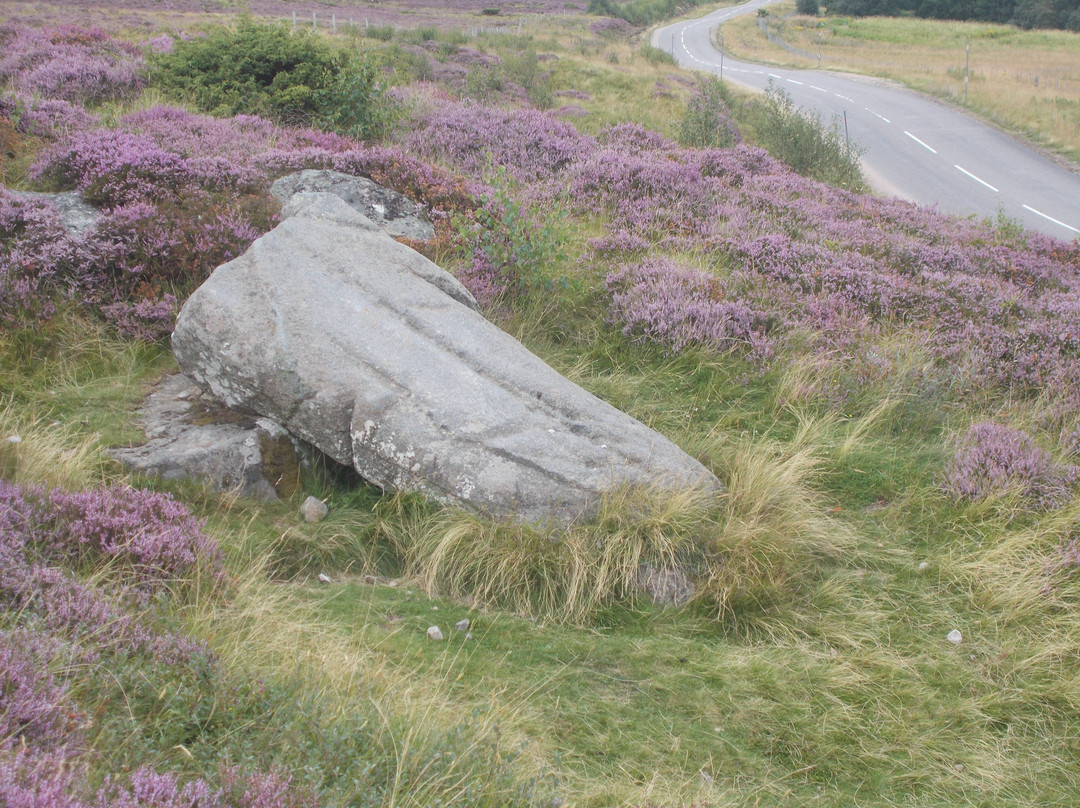 Ringing Stone