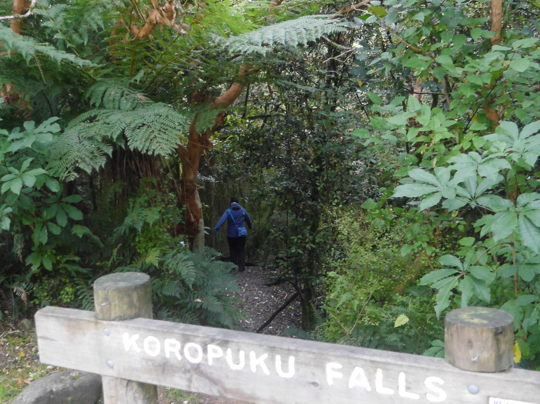 Koropuku Falls景点图片