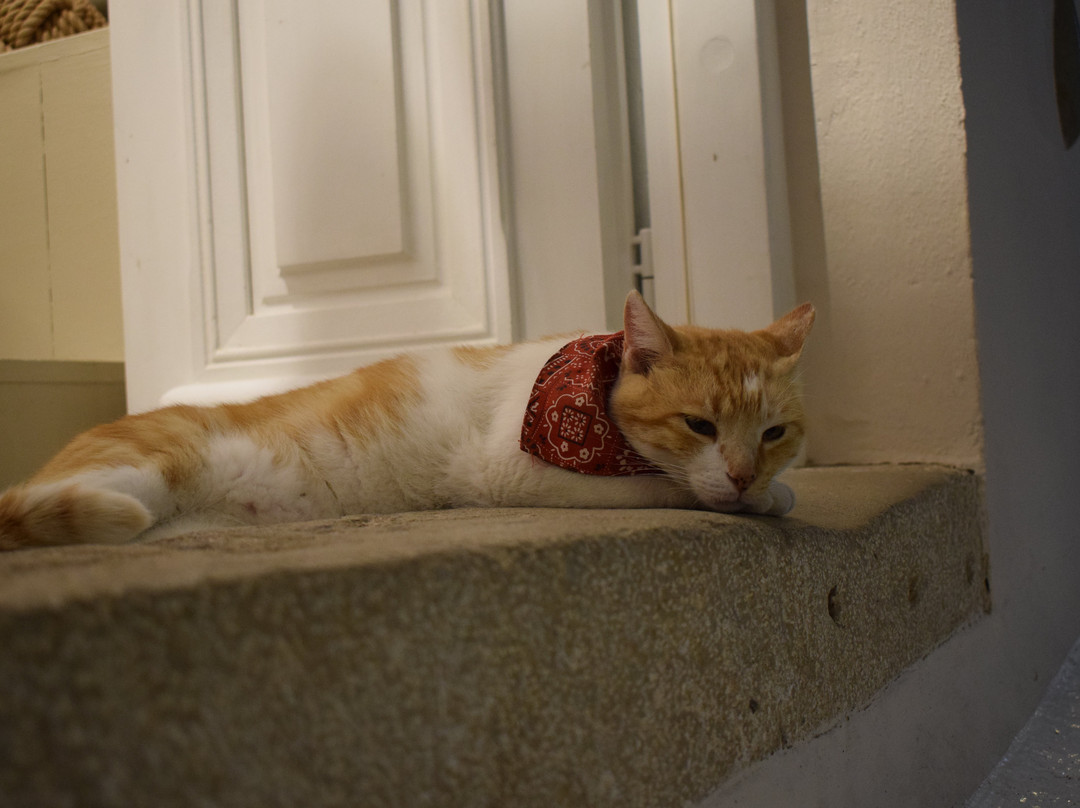 Choraki-Kythira必去景点