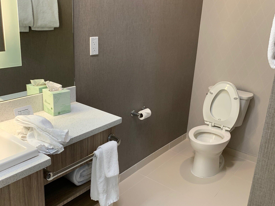 SpringHill Suites Durango主图