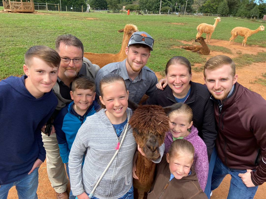 Alpacas of Smith Mountain Lake Farm景点图片