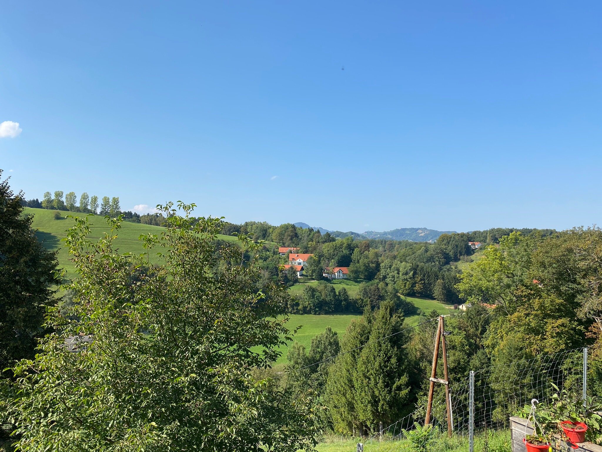 Weingut Schatz-官方