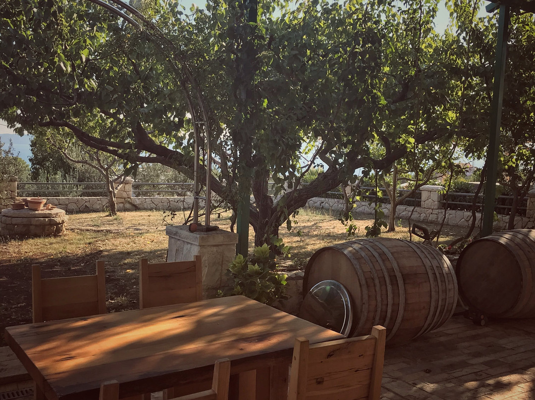 Winery Vucica - Wine tasting景点图片