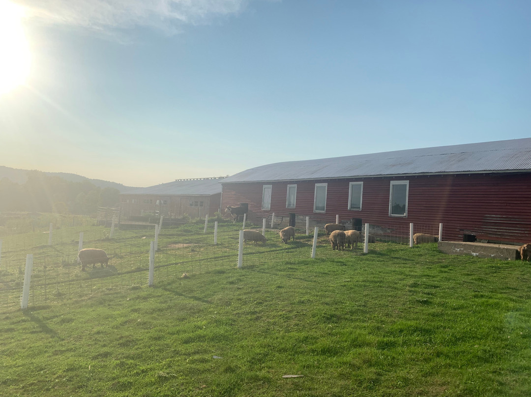 Hathaway Farm-Rutland必去景点