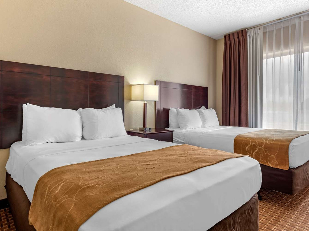 Comfort Suites主图