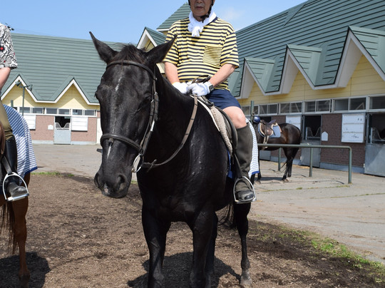 Niikappu Horoshiri Horse Riding Club-新冠町必去景点