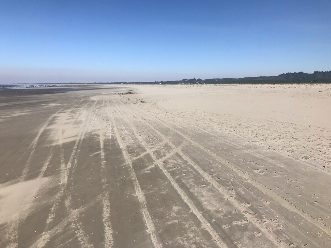 Grayland Beach State Park景点图片