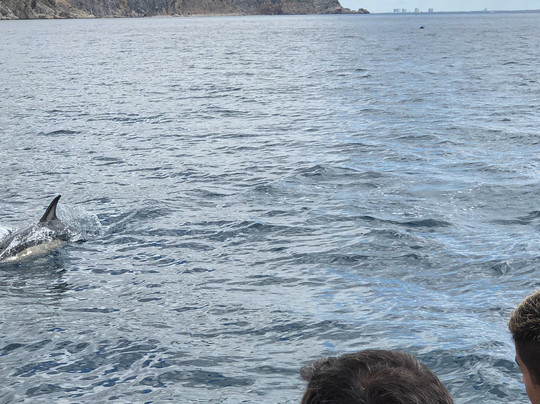 Anthia Diving Center-塞新布拉必去景点