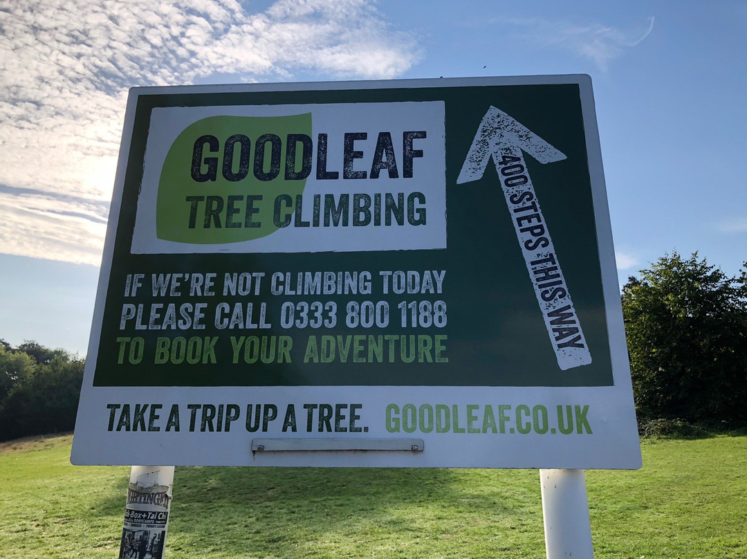 Goodleaf Tree Climbing景点图片