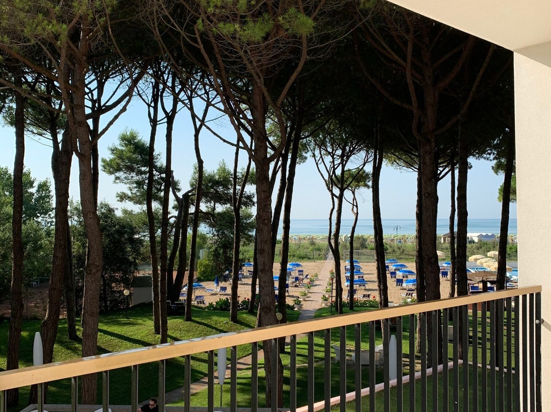 Hotel Beau Rivage Pineta主图