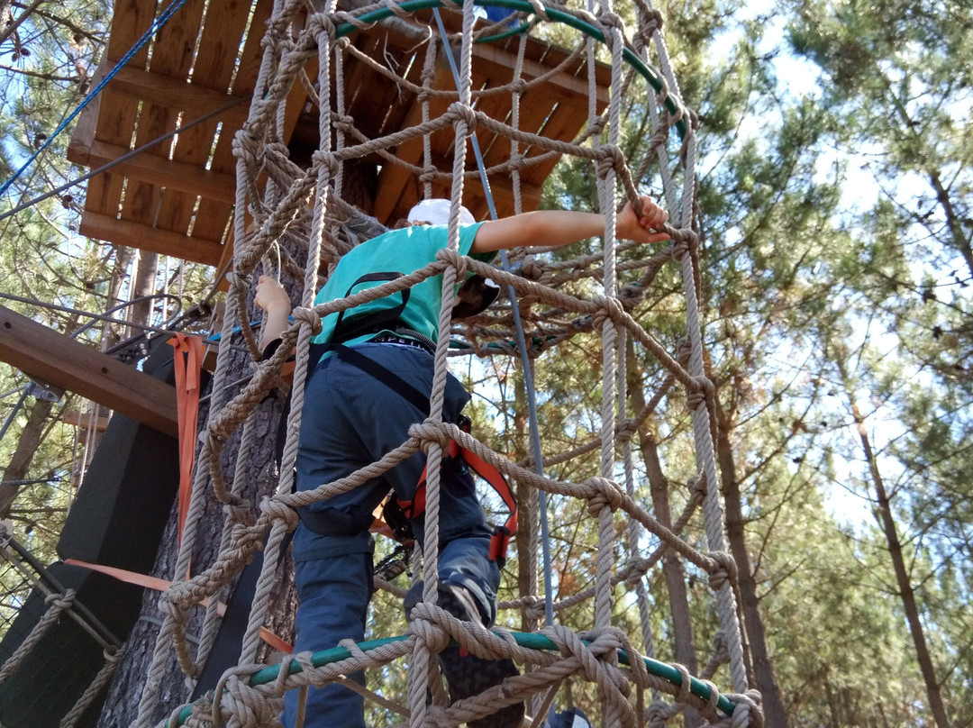 Parque Aventura São Jorge景点图片