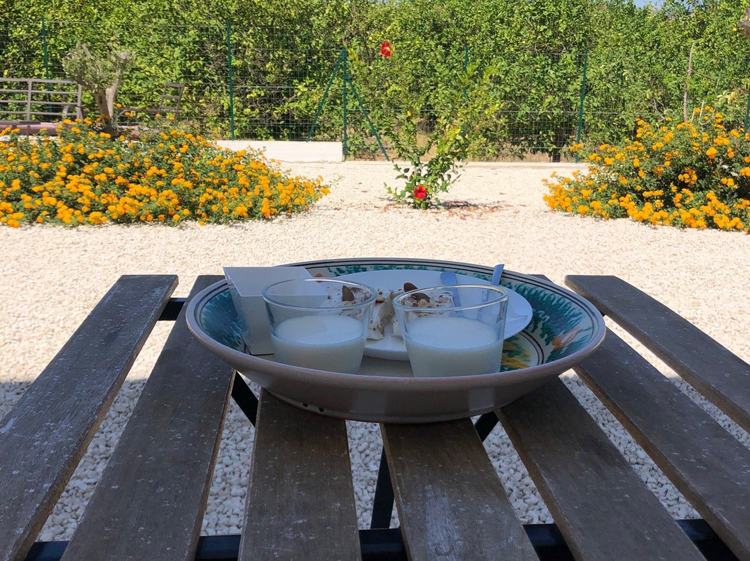 B&B Villa Landolina主图