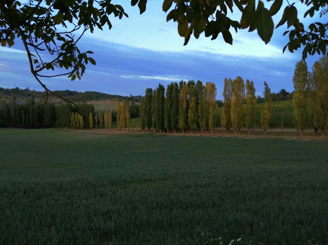 La Raia Azienda Agricola Biodinamica-诺维利古雷必去景点