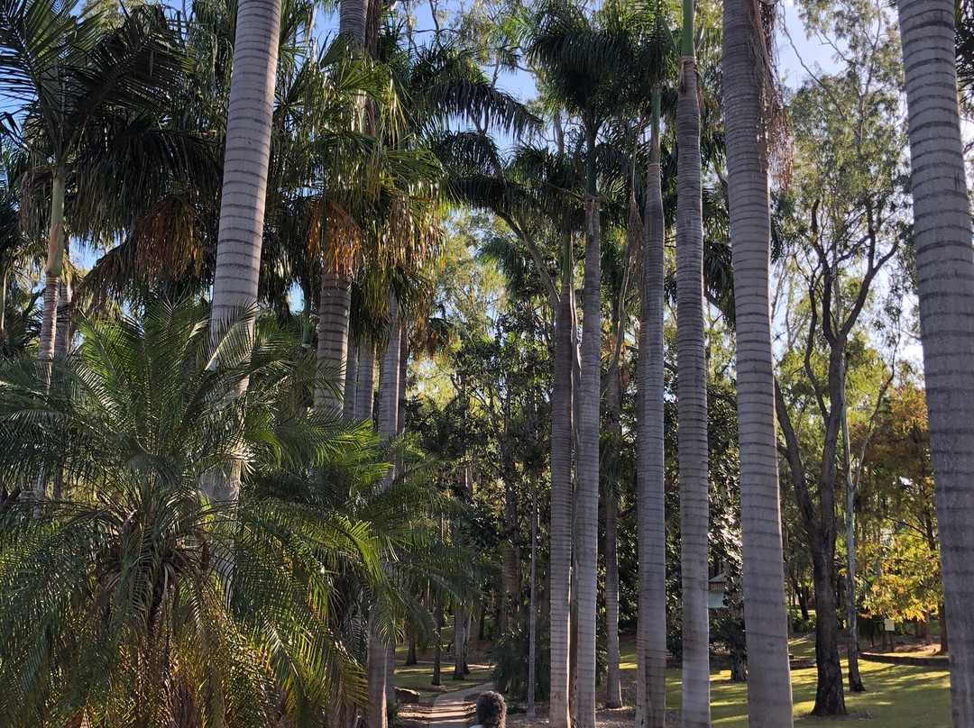 Botanic Gardens-Emerald必去景点