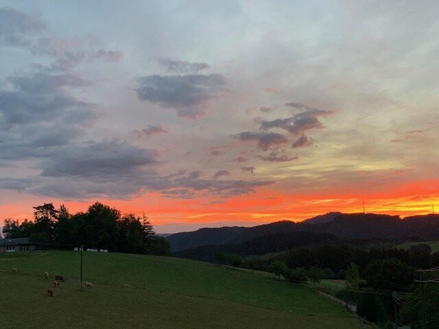 Pfaus Heidburg主图