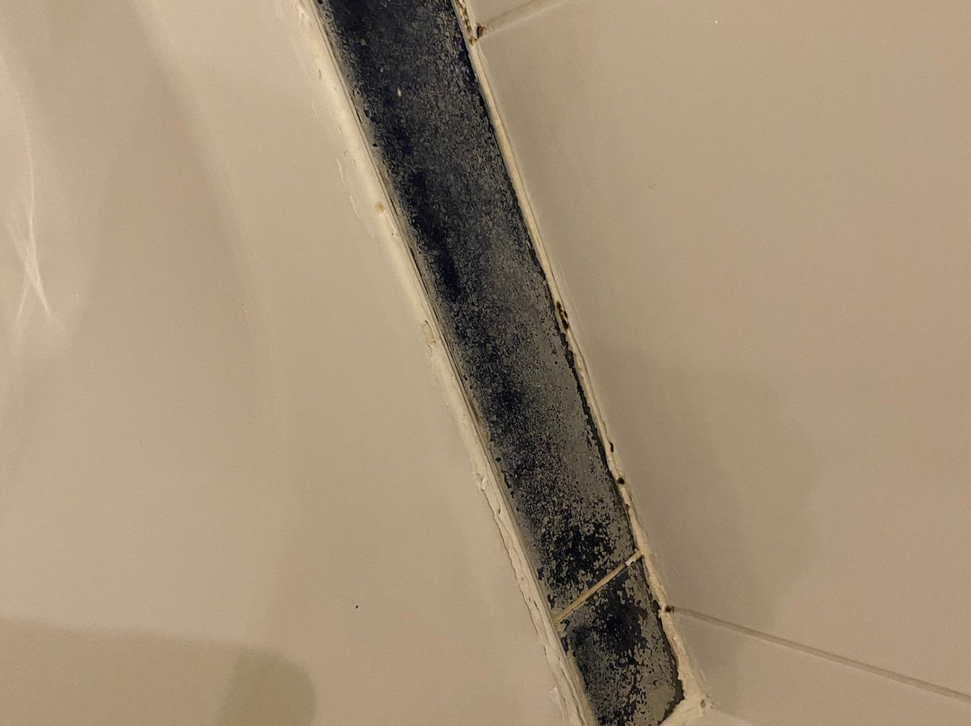 The Stiffkey Red Lion主图