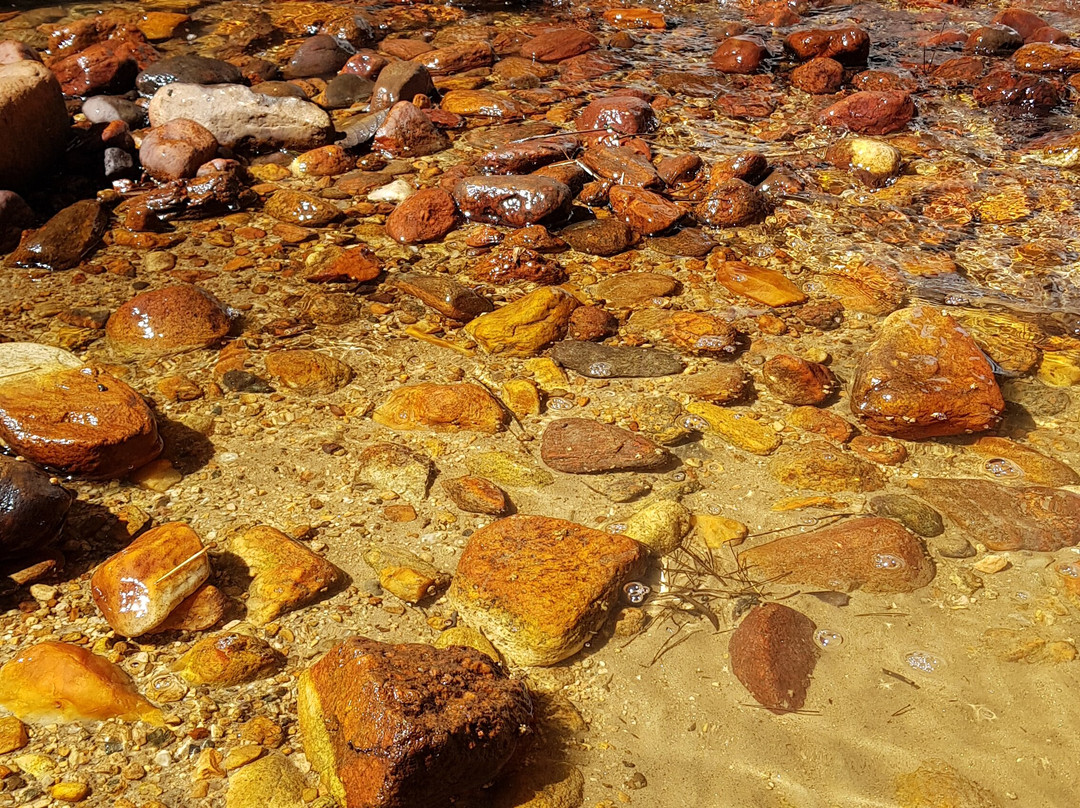 Cachoeira do Lageado-圣安东尼奥杜皮尼亚尔必去景点