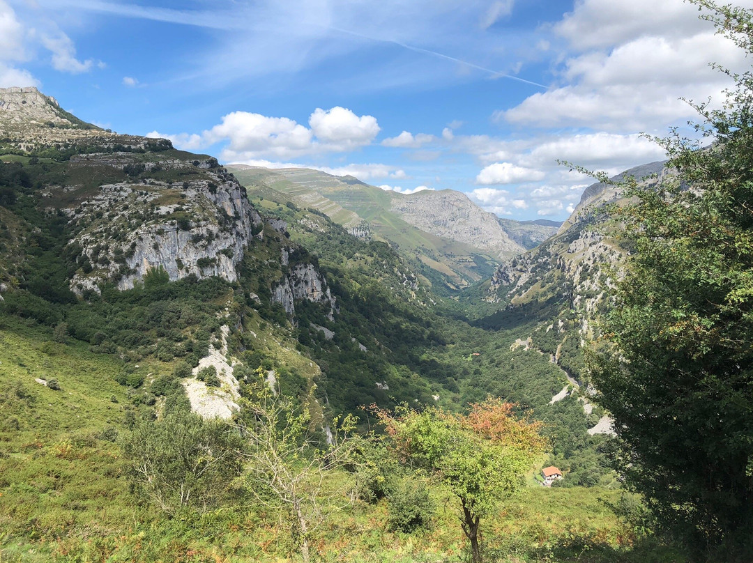 Collados del Ason Natural Park景点图片