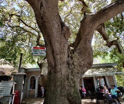 TripAlbania.AL-地拉那必去景点