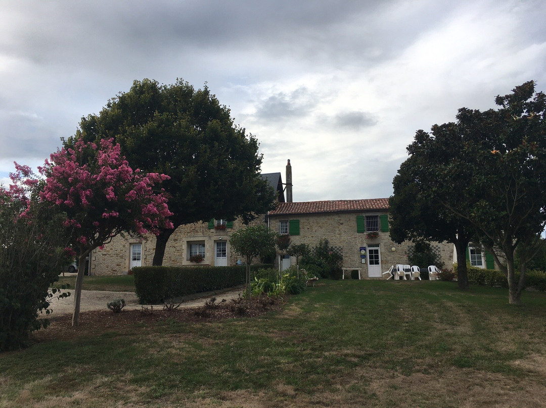 La Maison Neuve主图