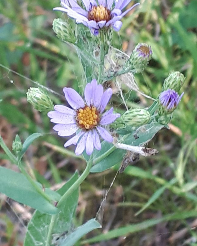 Erin Park-Killarney必去景点