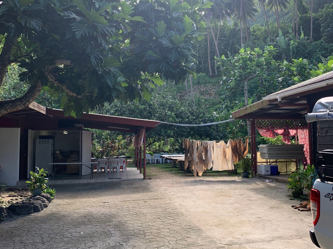 Tahaa Tour Excursion-塔哈岛必去景点