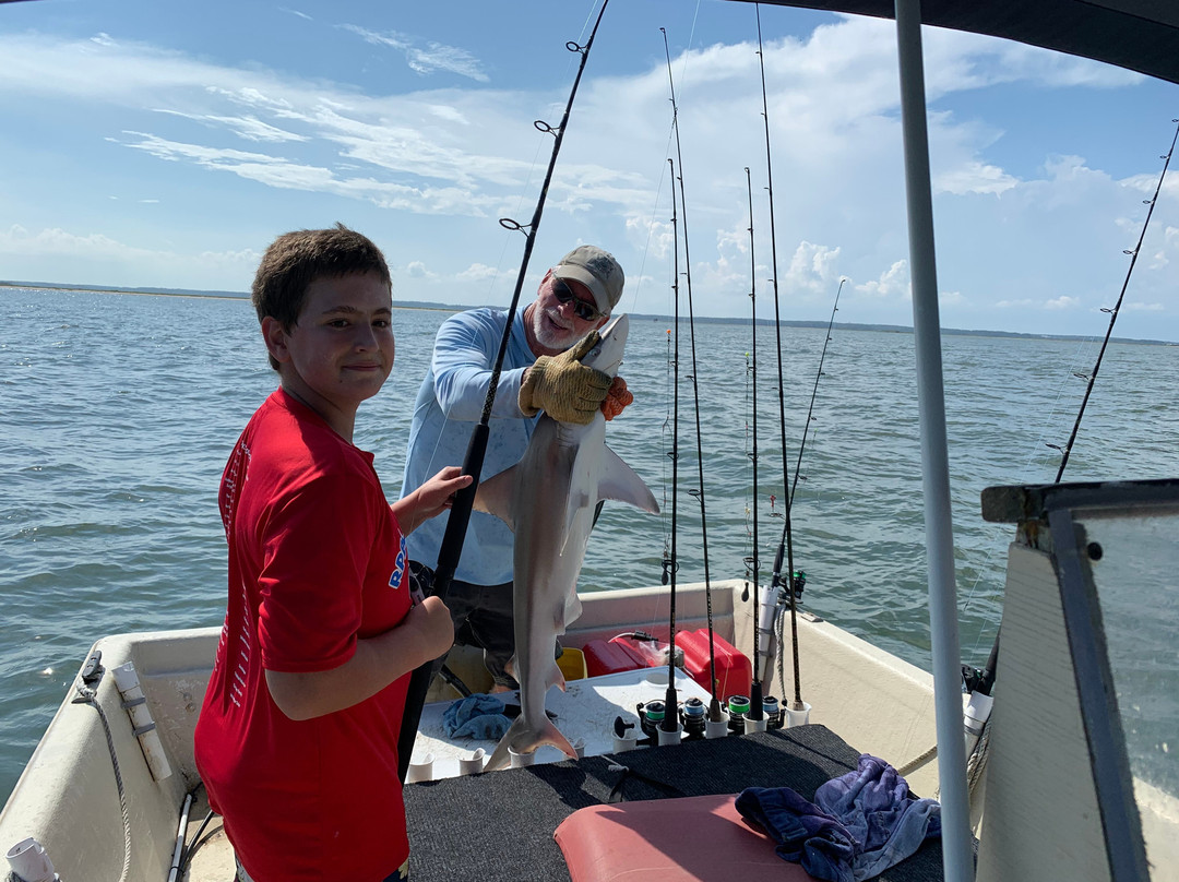 Chincoteague Bay Adventures-Greenbackville必去景点