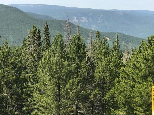 All Season Adventures-萨利达必去景点