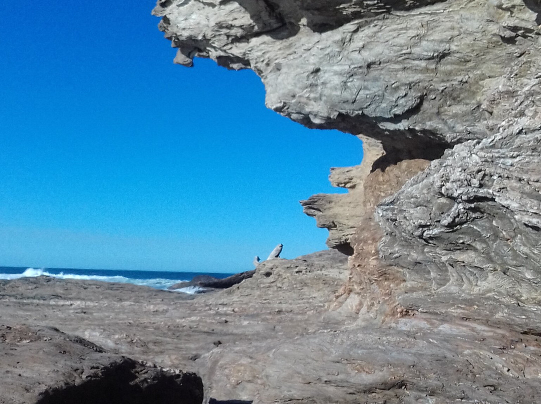 Nambucca Heads Beach景点图片