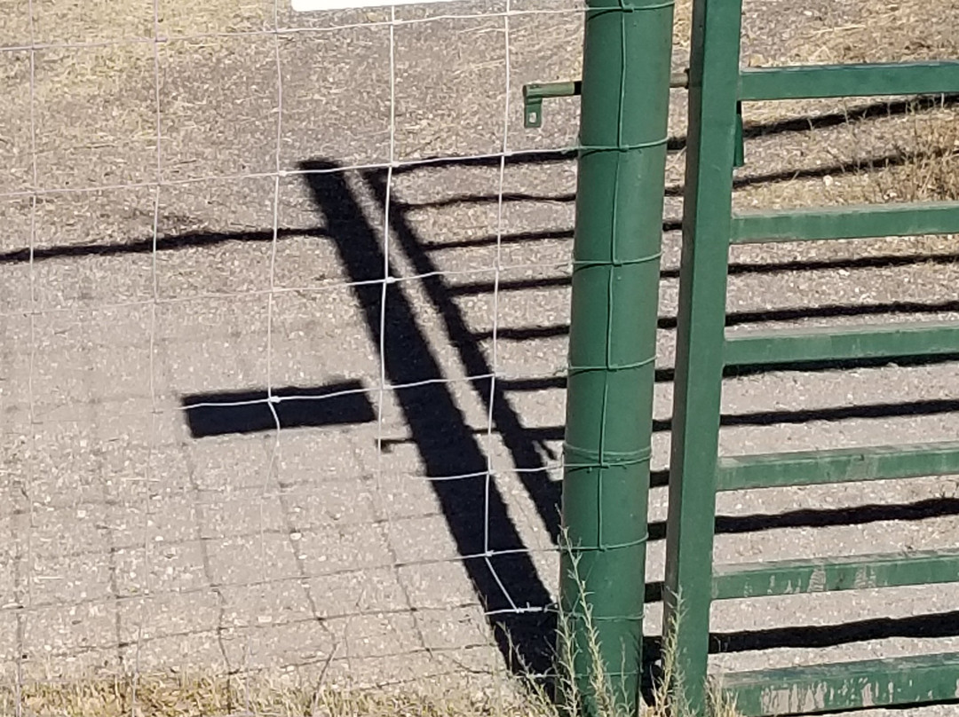 The Eden House Vineyard主图