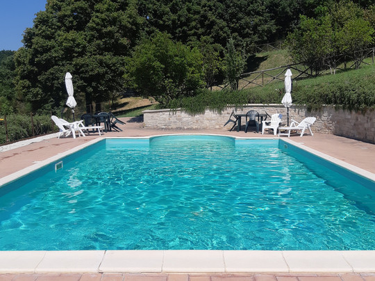 Cannabis Clinic & Restaurant主图