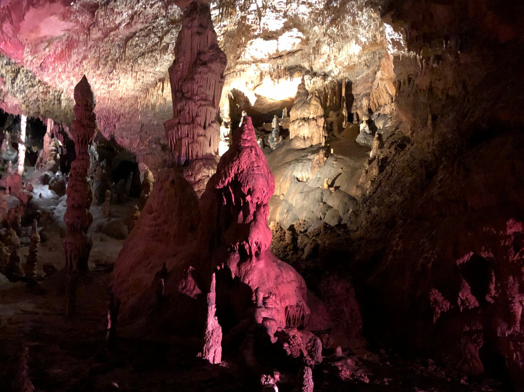 Grotte des Carbonnieres-Lacave必去景点