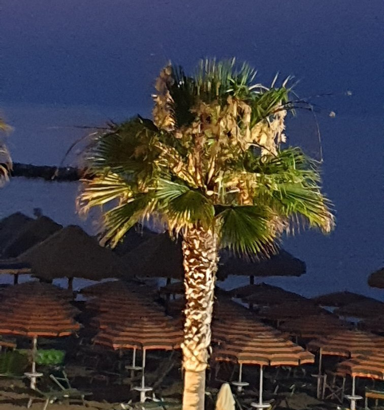 Hotel Punta de l'Est主图