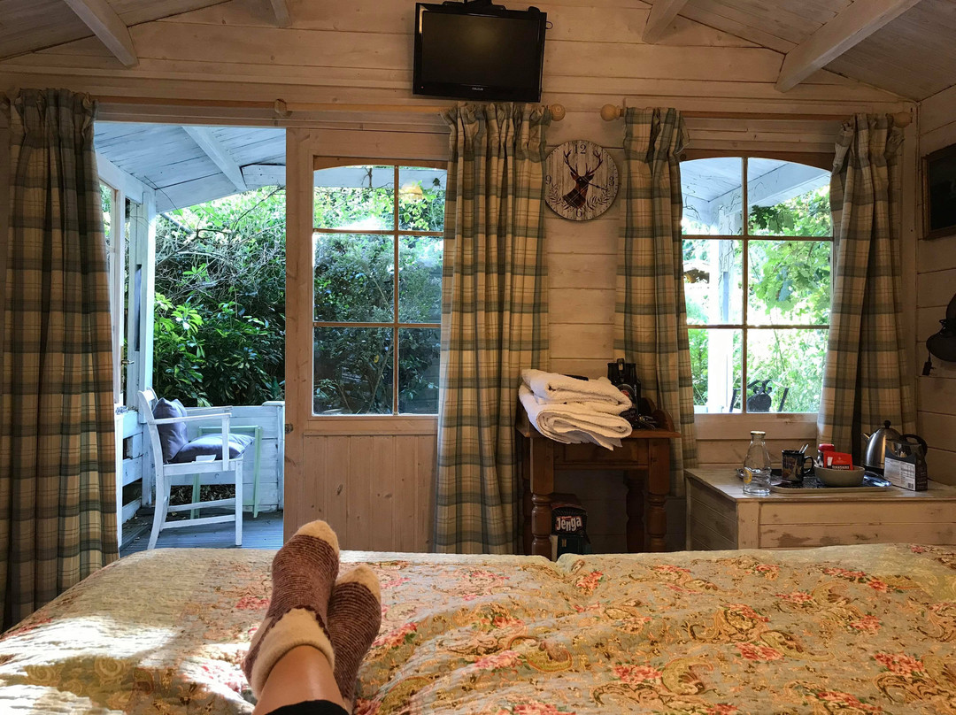 24 Ward Avenue Bed & Breakfast主图