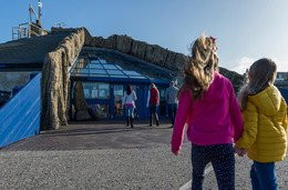 Macduff Marine Aquarium-Macduff必去景点