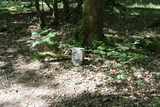 Confluence de la Cure et du Caillot-Gouloux必去景点