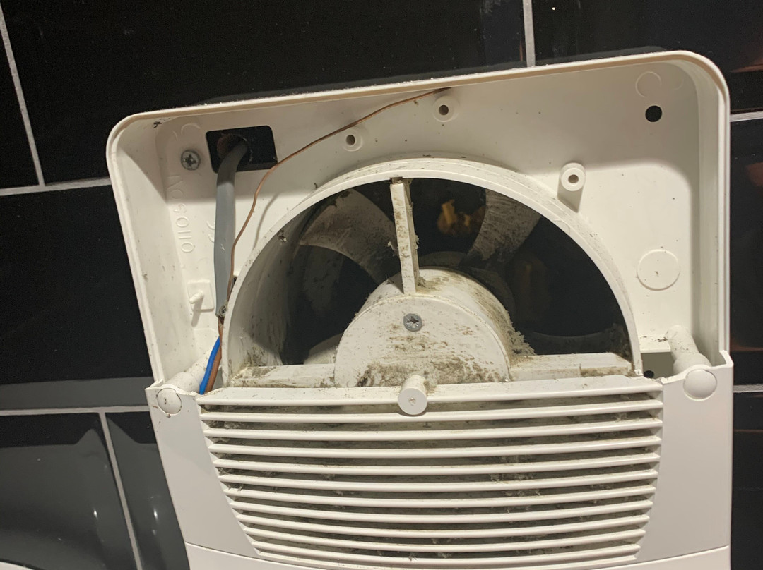 The Black Lion-布莱顿必去景点