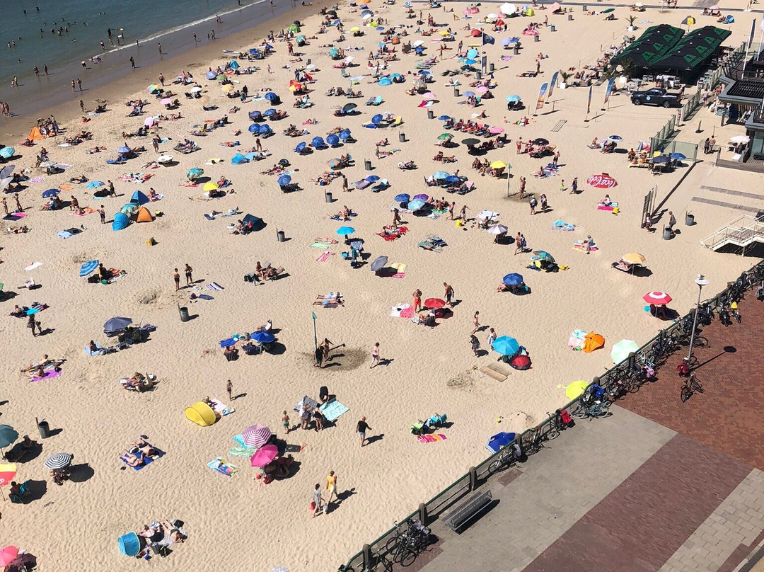Strandappartementen De Gulden Stroom主图