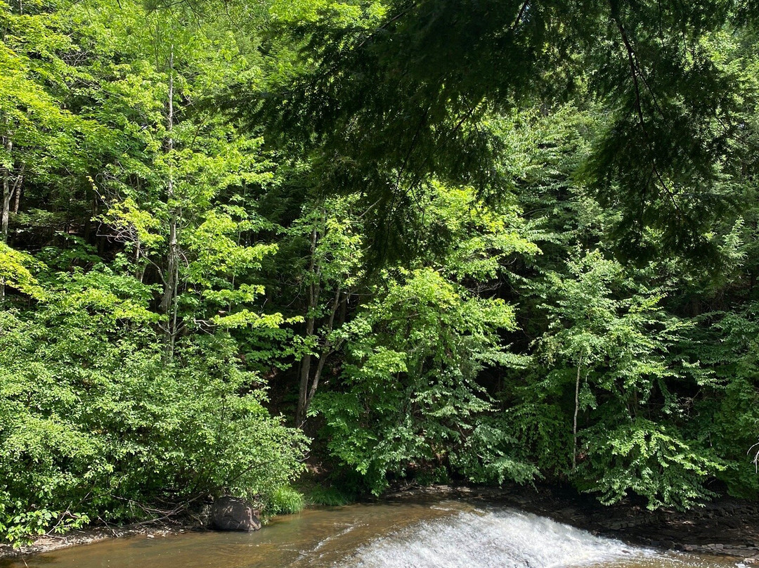 Parc régional de la Rivière Gentilly-Saint-Louis-de-Blandford必去景点